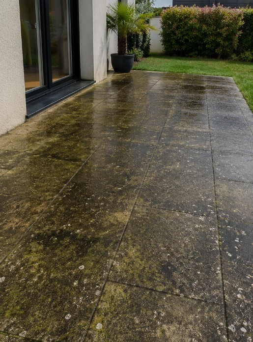 Photo avant nettoyage terrasse LoClean